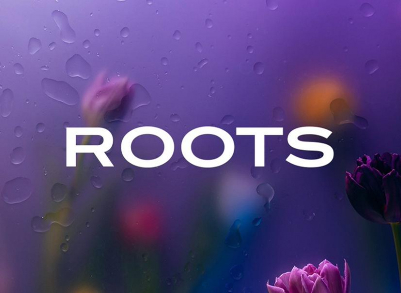 Roots Flowers ищет ретушера