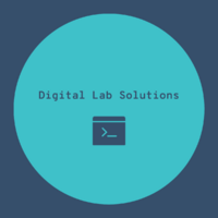 Digital Lab Solutions ищет в команду опытного веб-дизайнера