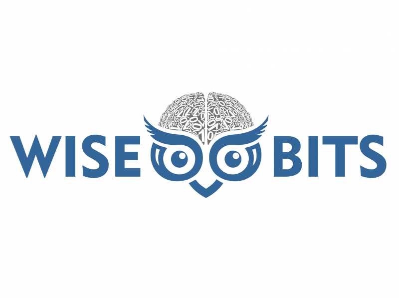 Wisebits ищет Senior- Product- дизайнера