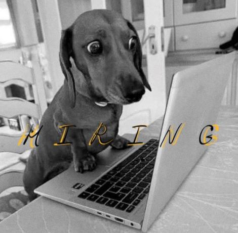 iGaming проект ищет Visual / Graphic дизайнера