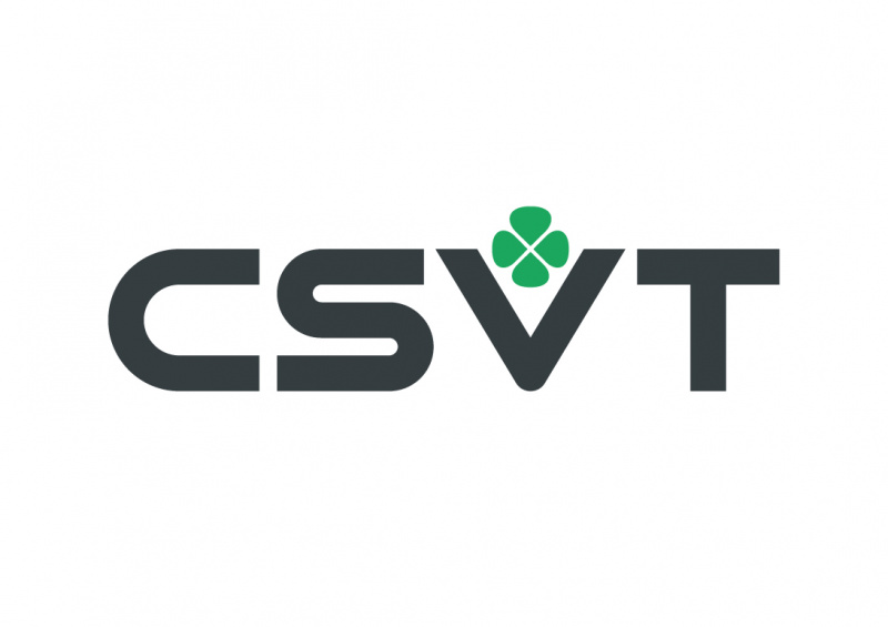 CSVT ищет графического дизайнера