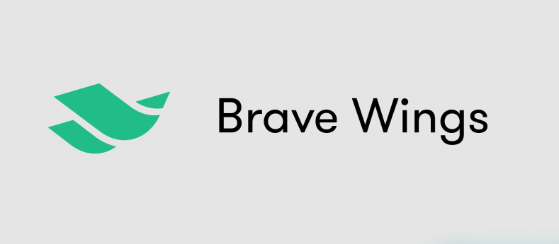 Brave Wings ищет UX/UI дизайнера (удаленка)