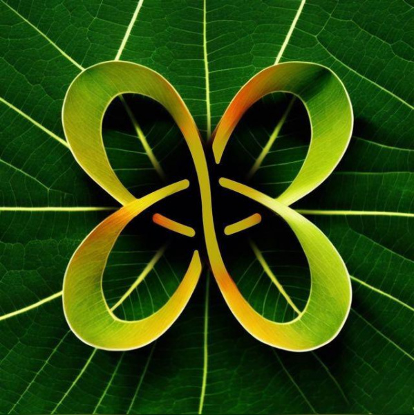 Ecoplant ищет графического дизайнера