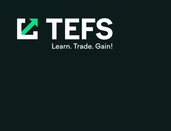 TEFS ищет UX/UI-дизайнера