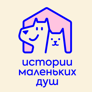 Благотворительный проект ищет дизайнера сайта на Тильде