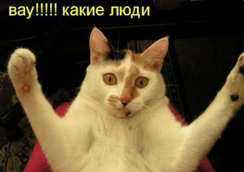 ООО Какие люди в поиске креативного дизайнера