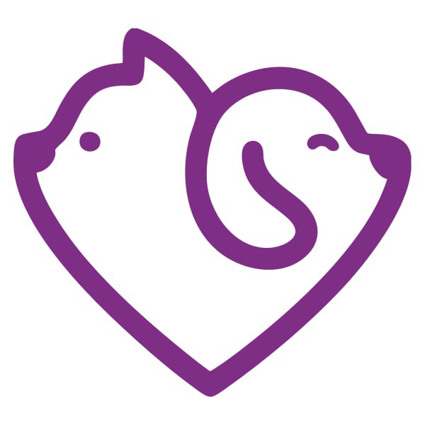 GoGoPets ищет digital-дизайнера с опытом создания рилсов