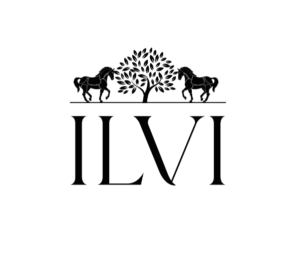 Премиум бренд турецкой одежды и обуви iLVi ищет креативного дизайнера