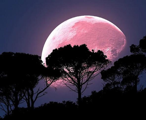 RDmoon ищет UX/UI-дизйнера (Middle/Senior)