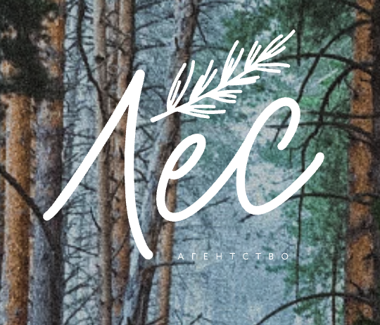 Агентство «Лес» ищет веб-дизайнера