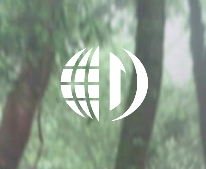 Diom ищет старшего UX/UI-дизайнера