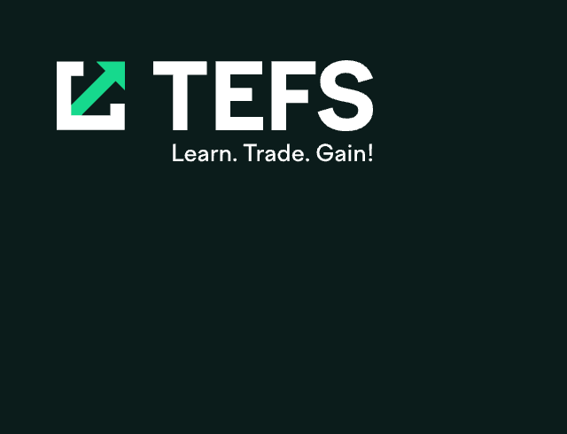 TEFS ищет UX/UI-дизайнера