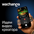 Wachanga ищет дизайнера на видео для социальных сетей