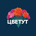 Цветут.рф ищет графического дизайнера (Айдентика / Брендинг)