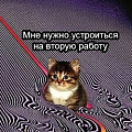 Ярослава Си... — дизайнер